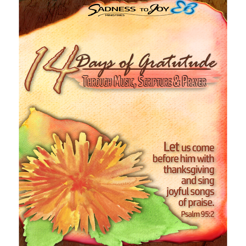 14 Days of Gratitude